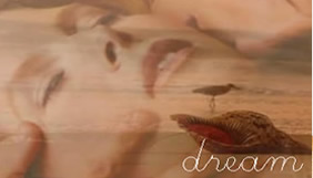 percorso con massaggio dream